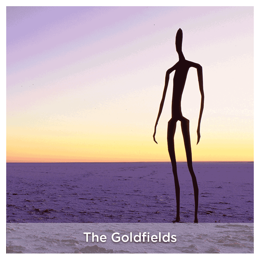 Goldfields