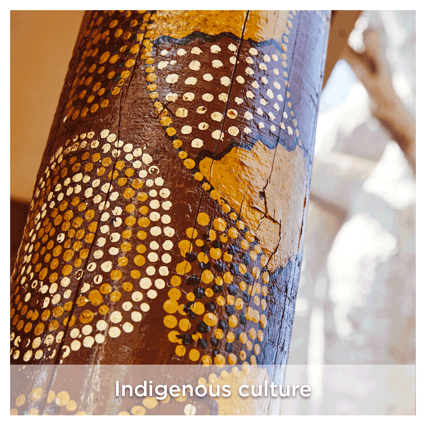 Indigenous culture