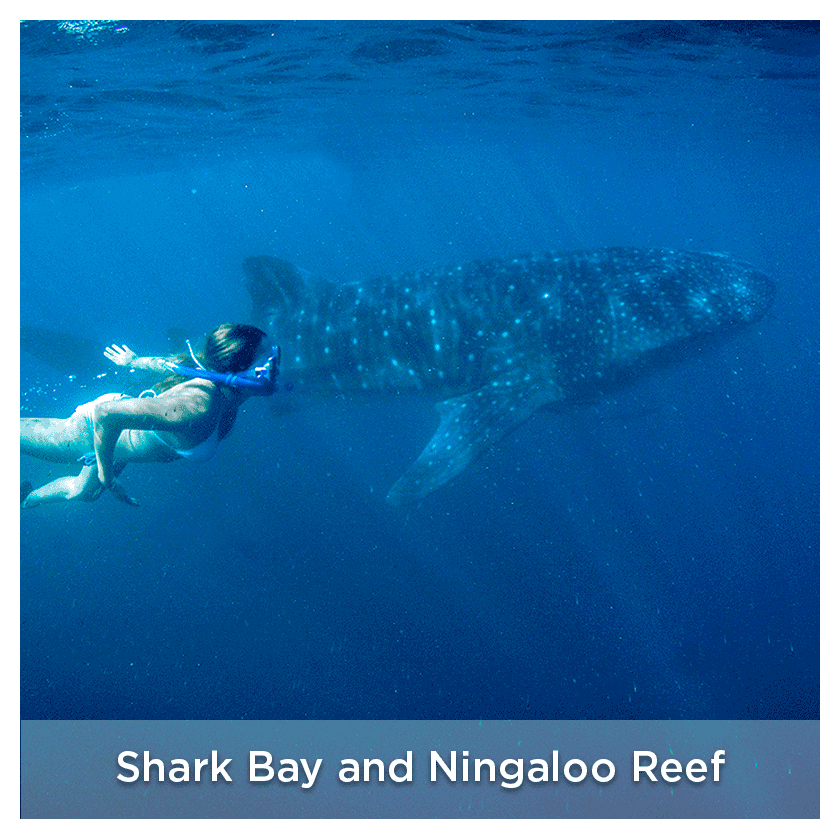 Ningaloo Reef