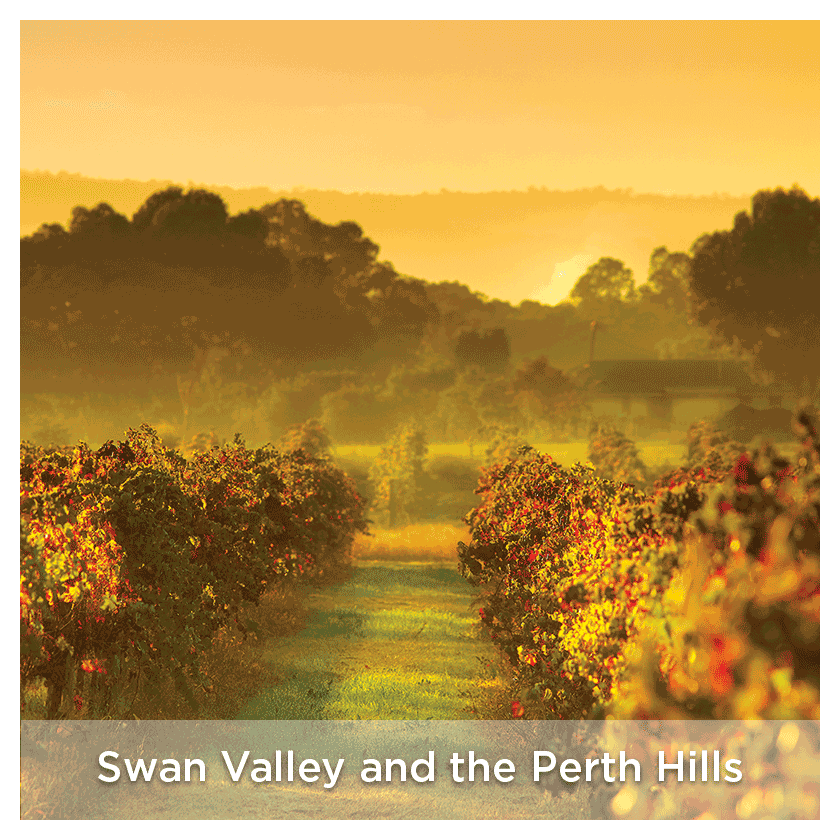 Swan Valley